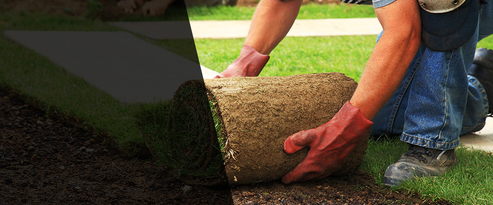 Deville Landscapers